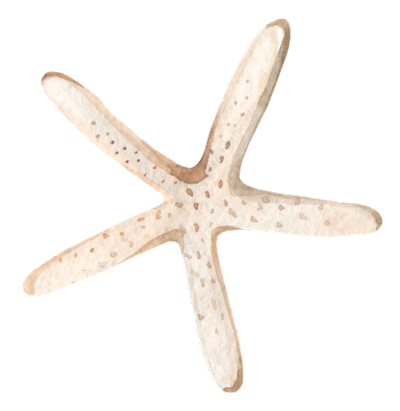 Estrellas de mar